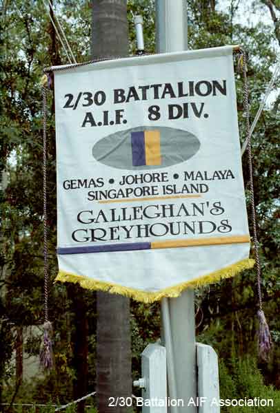 2/30 Battalion Banner
This banner is carried at all official functions and ceremonies for the 2/30th Battalion.
Keywords: 070218b