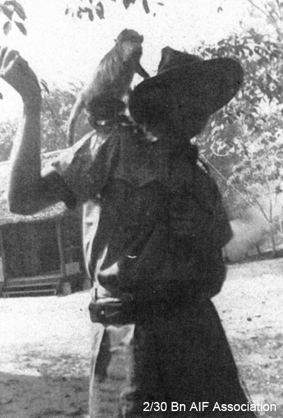 With pet monkey, Malaya, 1941
"That's me with the hat on - Jack with pet monkey"
NX72575 - CONN, Edward John (Jack), Pte. - HQ Company, Signals Platoon
Keywords: NX72575