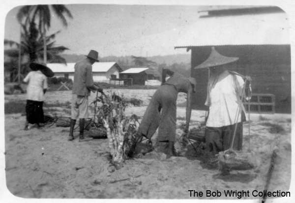 Women labourers and men
1. The photographs are to be known as The Bob Wright Collection.
2. Reproduction of the Collection or any part of it is prohibited without written permission.
3. Permission is granted to the 2/30th Batallion Association to reproduce the Collection as it deems appropriate.
4. Permission is granted to the Australian War Memorial Museum to reproduce the Collection as it deems appropriate.
5. All other permission is specifically withheld.
6. Written application for permission to reproduce the Collection, or part of it, may be made to:
Mr I. Wright
95 Hewitt Avenue
Wahroonga 2076 New South Wales

